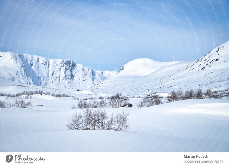 Norwegian high mountains in the snow. Mountains covered with snow. Scandinavia winter winter landscape ice cold tree frost white magic road light lantern motif