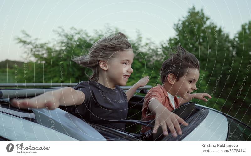 Funny Happy Little Boys Stands In Open Car Sunroof During Trip, Summer.Childhood adult air amazing arms auto boy boys breathing car carefree cheerful child