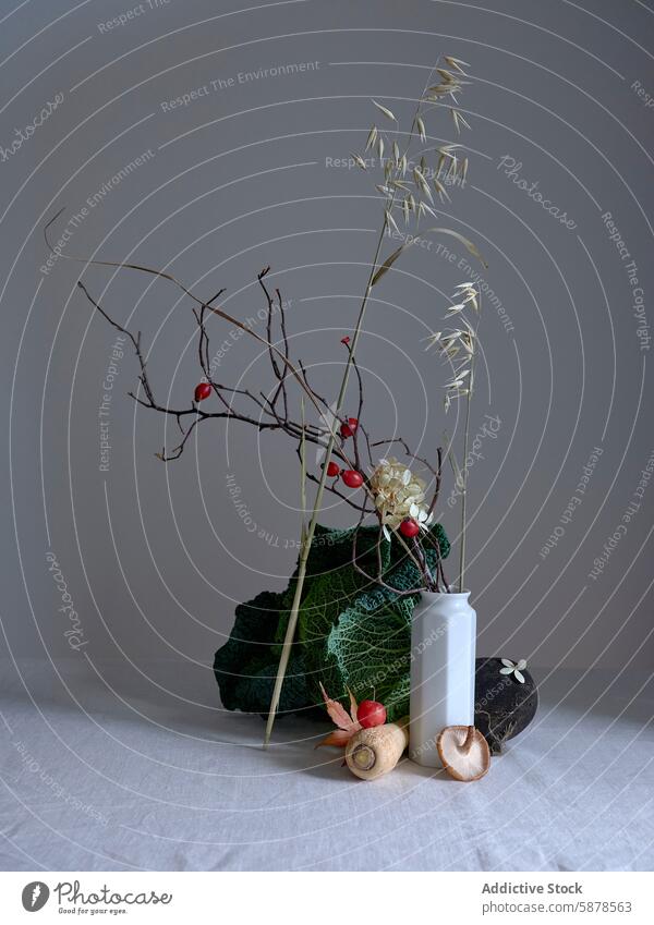 Elegant still life with savoy cabbage, radish, and crab apples black radish arrangement art tiny red apple vegetable fruit green natural light groceries