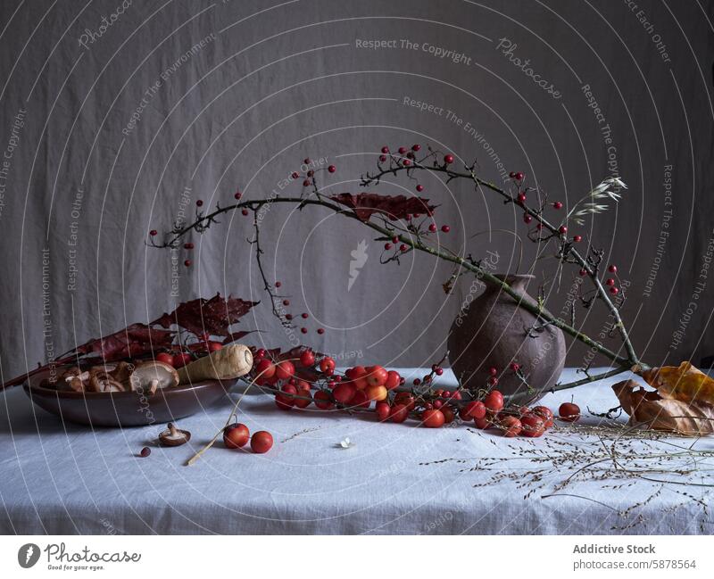 Artistic Autumn Still Life with Shiitake Mushrooms and Crab Apples still life crab apple shiitake mushroom autumn artistic moody red apple vase arrangement fall