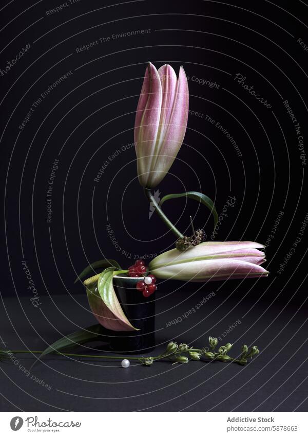 Elegant pink lily flower in a black vase on a dark background petal elegant delicate organic texture leave berry ornamental green sleek subtle hue composition