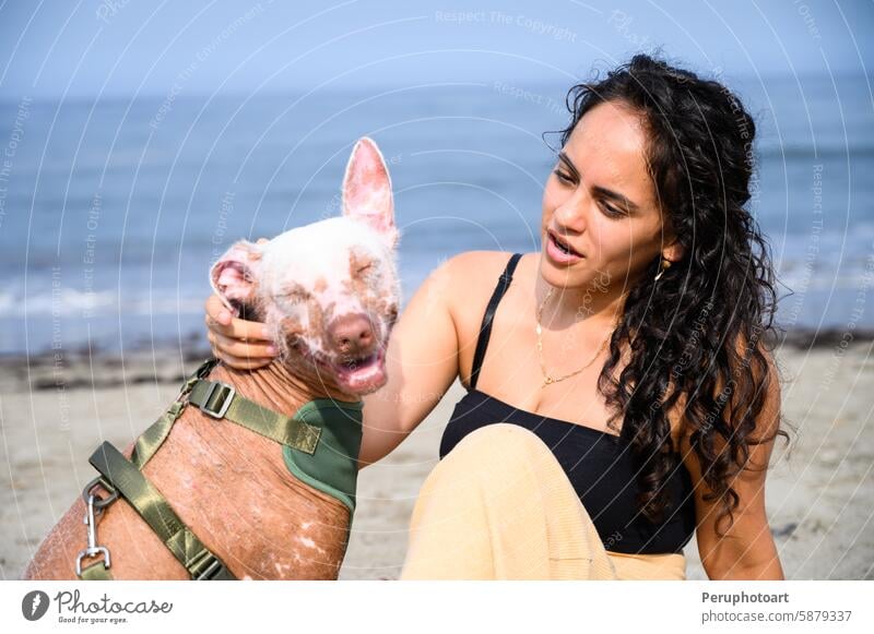 Young woman petting smiling hairless dog on beach happy summer sand ocean friendship love companionship animal owner outdoors sunny daytime relaxation fun joy