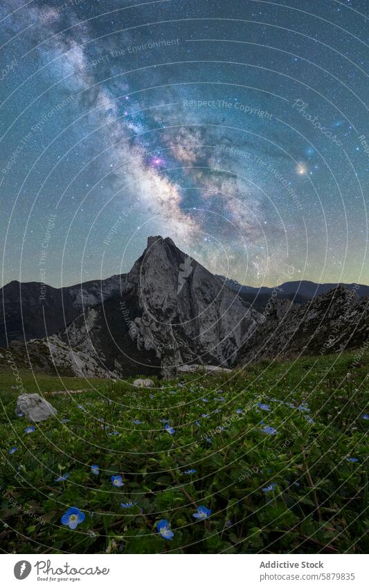 Milky Way above a mountain peak in Pueblo de Sotres, Asturias milky way star galaxy night sky rugged blue flower bloom pueblo de sotres asturias spain nature