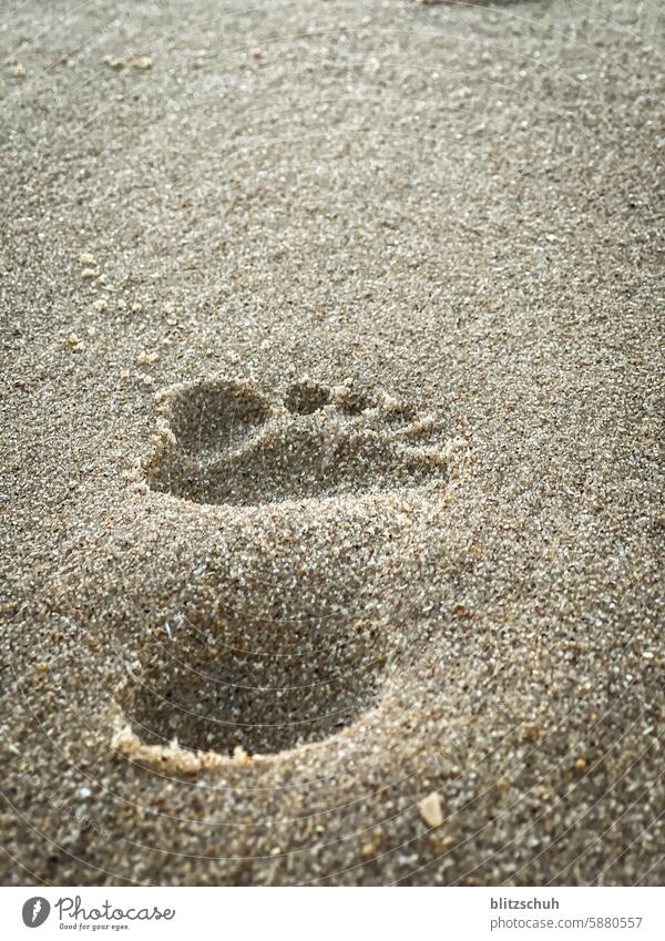 Footprint in sand footprint Sand beach Summer beachlife Feet Vacation & Travel Sandy beach Beach Ocean coast Nature Summer vacation Barefoot Tracks footprints