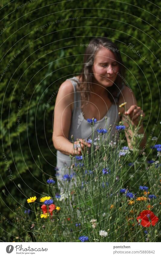 a woman in front of a flower meadow. picking flowers Flower meadow wild flowers variegated Red purple poppies Nature Summer Meadow flower Green Woman Pick