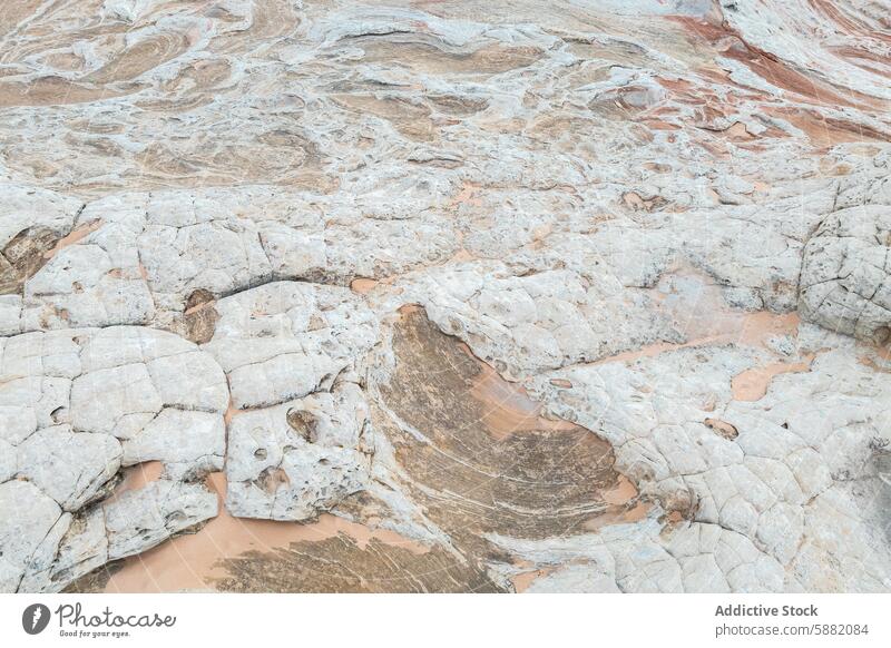 Intricate textures of the Vermillion Cliffs at close range vermillion cliffs rock formation pattern natural geology layered weathered sandstone erosion closeup