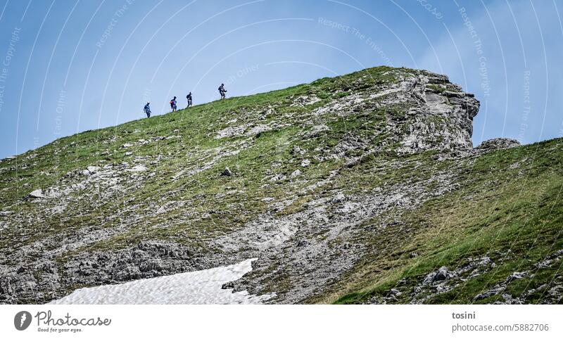 Four people standing in a row on a ridge (1/2) Mountain mountains Sky Peak Exterior shot Alps alpine crossing alpine landscape hike ascent Effort Row Landscape