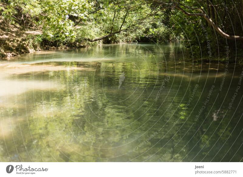 it continues to flow Water River Forest Nature Brook Flow Landscape Environment Green Tree naturally Stream cascade Peaceful Fresh Wet Movement Park