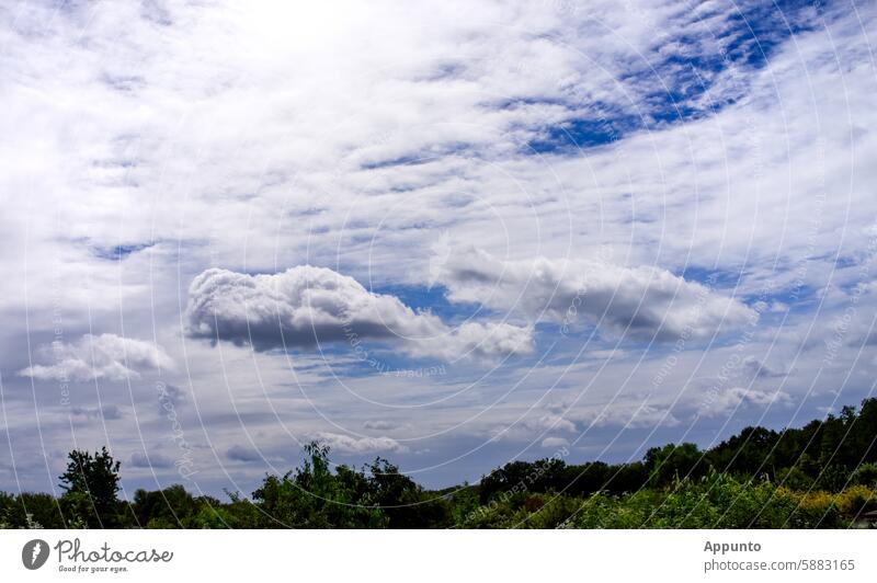 Cloud 7 or cloud cuckoo land ? cloud 7 Hover Sky Cloud formation White Blue Gray trees Bushes Green vegetation Float on cloud nine Float in the clouds