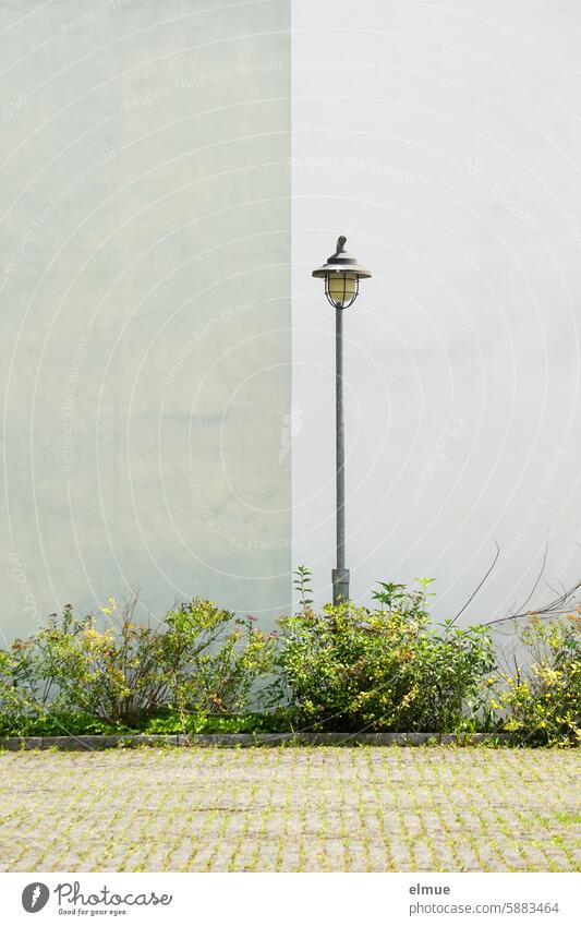 Street lamp in front of a two-tone house wall at the edge of a parking area streetlamp Lantern Street lighting bush Lighting Lamp post Electricity technique