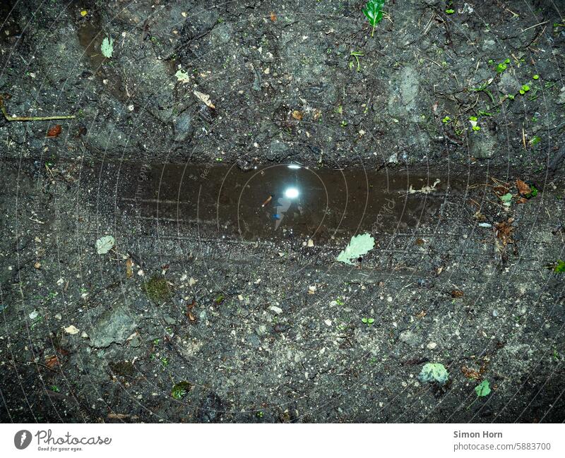 Light spot in a puddle that has formed in a rut in the forest floor trace Rut Puddle reflection Patch of light light reflexes Woodground Earth Wet drenched