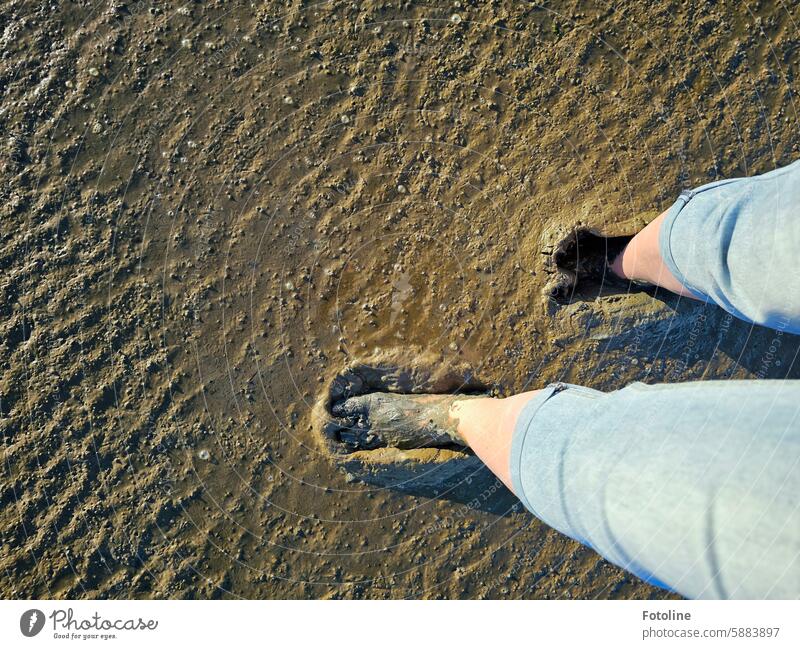 Everything that starts with UN | Tapped uncleanly through the mudflats. Mud flats North Sea coast Tide Low tide Slick Walk along the tideland Vacation & Travel