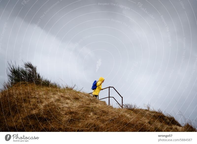 Woman in a Frisian mink stands on a steep slope and looks down into the depths Darss Gale Western Beach Clouds stormy friesennerz rainwear All-weather Rain