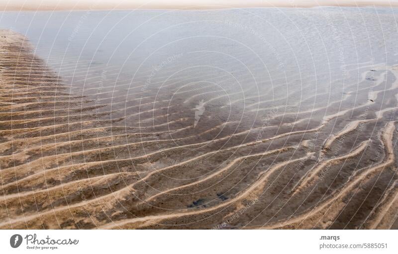 tideway Structures and shapes Tideway North Sea coast Mud flats Nature Water Ocean Beach Low tide Sand Close-up