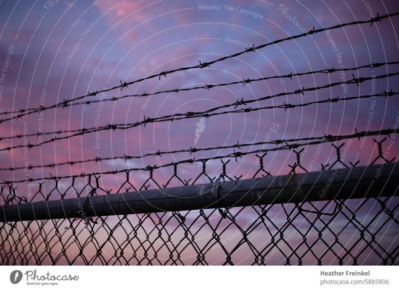 Pink sunset clouds behind chain link fence with barbed wire Barbed wire Sunset barrier california Barbed wire fence Border Safety Fear Protection