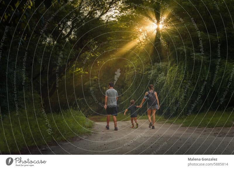 Family of three walking along a path at sunset, rays of light Family & Relations family Sunset Together Light Summer Child Infancy Love Happy Happiness