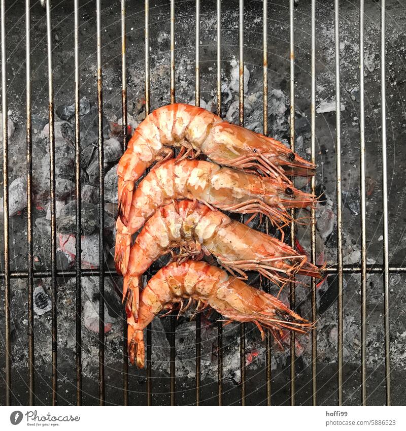 Four prawns on the grill Shrimps gambas Seafood Close-up Barbecue (apparatus) BBQ Grill BBQ season Charcoal (cooking) Nutrition Hot Exterior shot Delicious