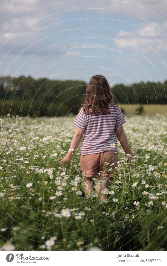 Girl runs through camomile field Summer Chamomile Camomile blossom flowers Flower meadow Nature stroll Meadow Green feel sniff Striped White
