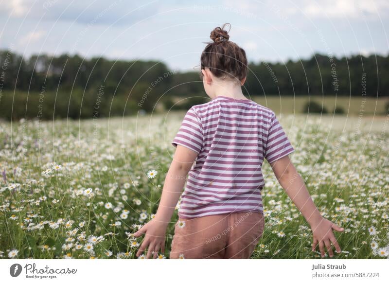 Child running through a camomile field 8 wonderful countryside Sky out Infancy Schoolchild Experiencing nature Clouds White feel Camomile blossom Summer