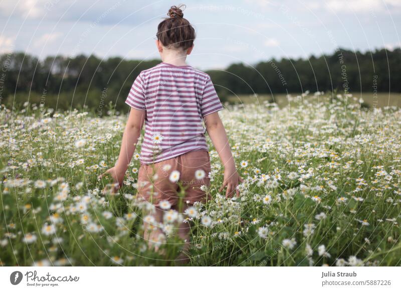 Girl running through a chamomile meadow 7 Striped sniff Green Meadow Nature stroll Flower meadow Camomile blossom Chamomile flowers Summer beautifully feel