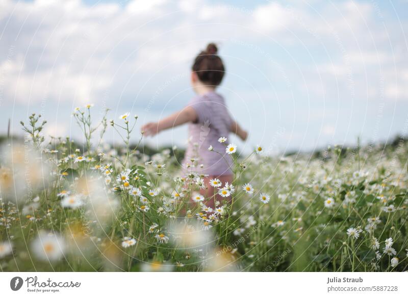 Girl in the camomile field 5 beautifully Clouds Infancy Chamomile Camomile blossom Nature Green feel Meadow flowers Summer Experiencing nature out Sky