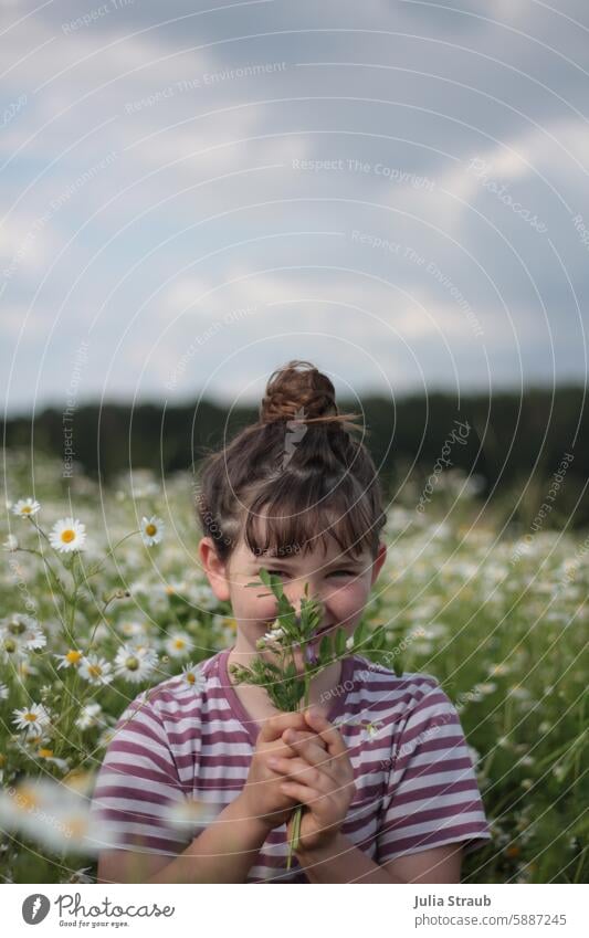 Girl in the camomile field 8 for you bestowed Gift Bouquet flowers meadow flowers Birthday cheerful child sniff Camomile blossom Schoolchild Sky Summer