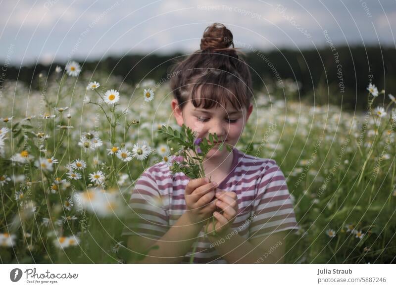 *900* Meadow flowers for congratulations for you sniff cheerful child Good luck stroll Grinning covert feel Flower meadow Striped Experiencing nature Pick