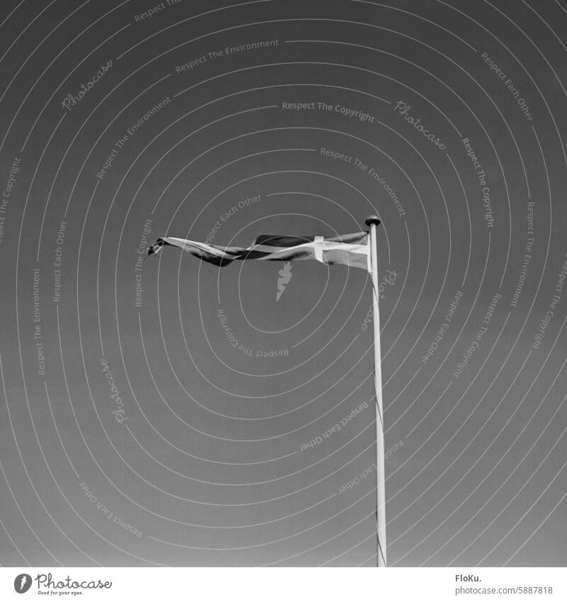 Dannebrog in black and white in the wind flag Black & white photo Flag of Denmark Analog analogue photography Analogue photo analog photography vacation travel