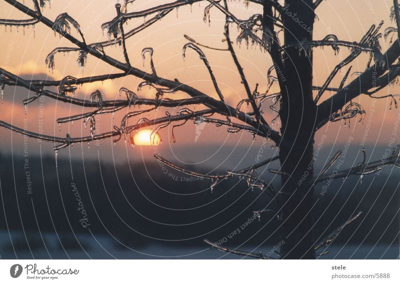 dawn Morning Winter Dawn ice sun