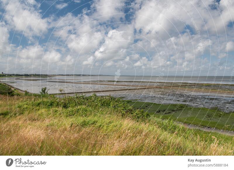 Wadden Sea Lahnungen Mud flats coast North Sea coast National Park Tide Nature reserve Wadden Sea National Park Island North Sea Islands Ocean Landscape