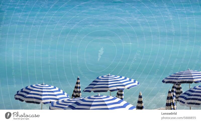 Blue and white parasols at the beach in Nice, France beach holiday beach umbrella beach umbrellas beautiful blue caribbean coast cruise france holiday panorama
