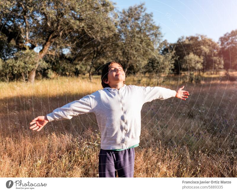 Boy Enjoying Fresh Air in Meadow boy meadow relax fresh air peace nature outdoor serene peaceful trees grass sunlight relaxation freedom young child casual
