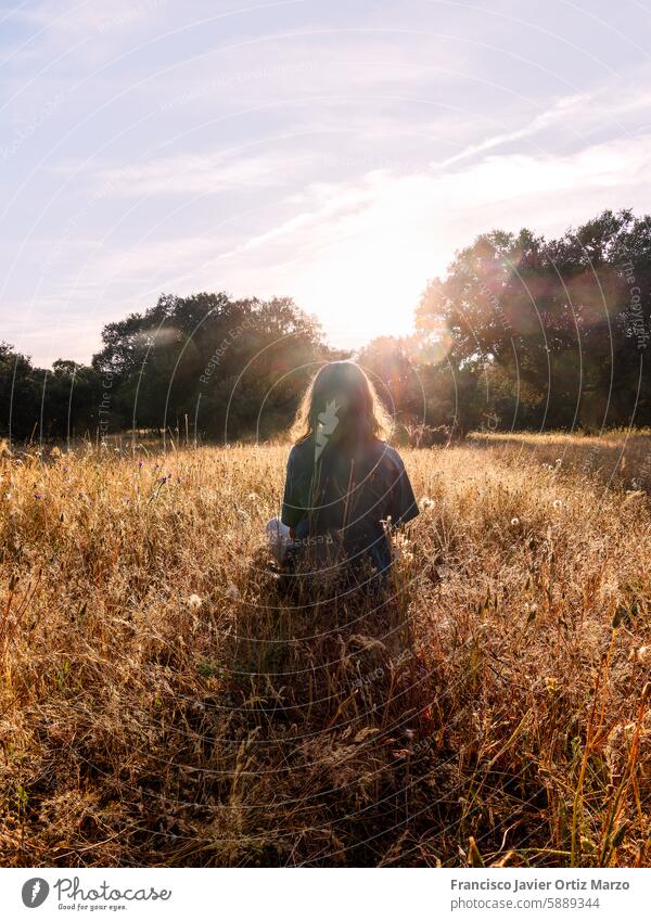 Girl Sitting in Sunny Meadow at Sunset girl meadow relax sunset free nature peace wellbeing tranquility outdoors grass peaceful serene trees evening sunlight