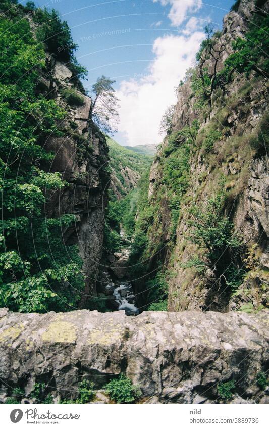 Piedmont 2024 Italy Landscape outlook enjoying the view Nature Vacation & Travel Relaxation Exterior shot Mountain voyage Colour photo Idyll Green Summer