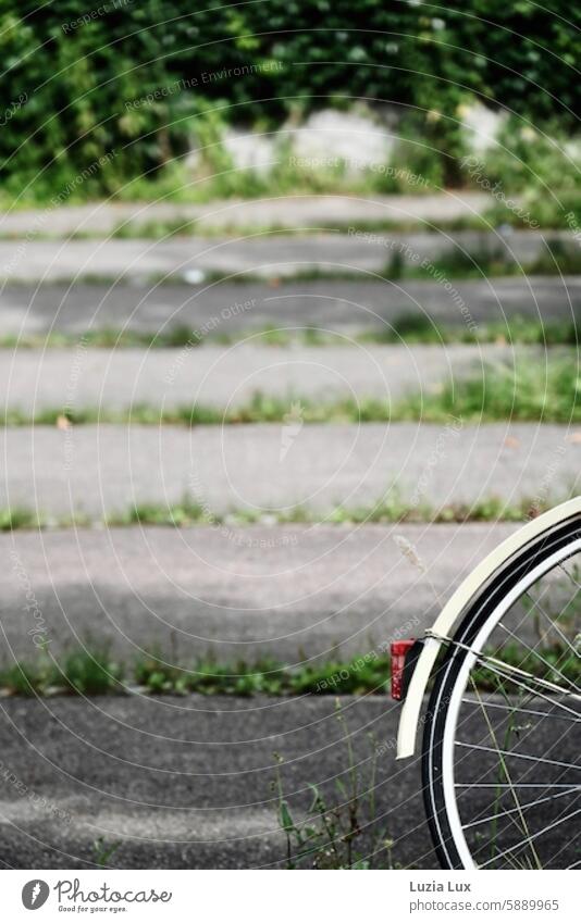 Rear wheel of a bicycle, in front of green, light, plates and shadow Bicycle rear wheel Spokes Green Light disk slabs Shadow Wheel Cycling Transport