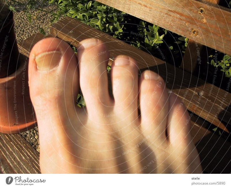 toes Toes Human being Feet Barefoot