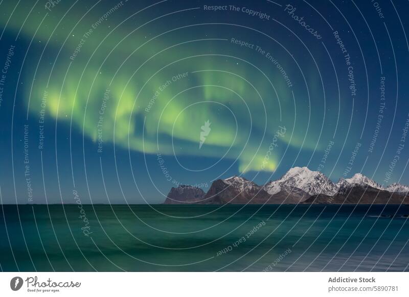 Northern lights illuminating Lofoten's snowy peaks aurora borealis lofoten norway northern lights night sky mountain sea reflection tranquility shimmering