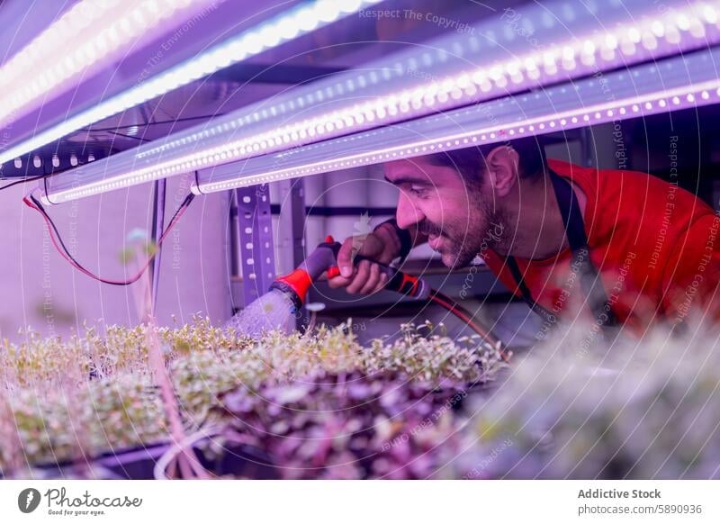 Man watering microgreens under LED lights in indoor farm man led vertical agriculture urban farming plant cultivation sprayer handheld technology horticulture