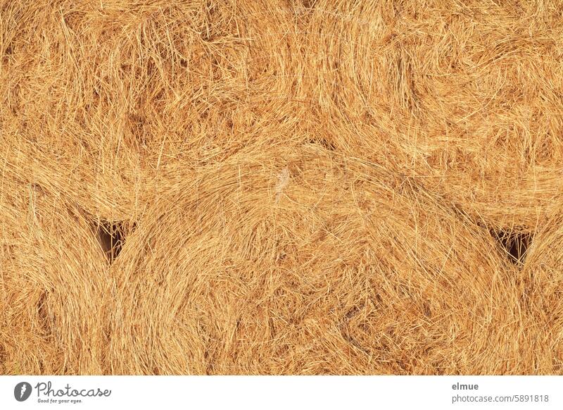 Detailed view of stacked round bales of straw Round bale of straw Bale of straw Straw harvest season Grain harvest Agriculture Advertising space Summer