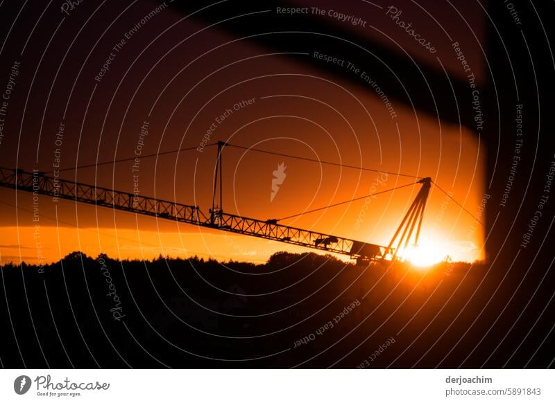 Sunset and closing time on the factory premises. Evening Light Landscape Dusk Deserted Exterior shot Colour photo Sunlight Beautiful weather Orange Contrast