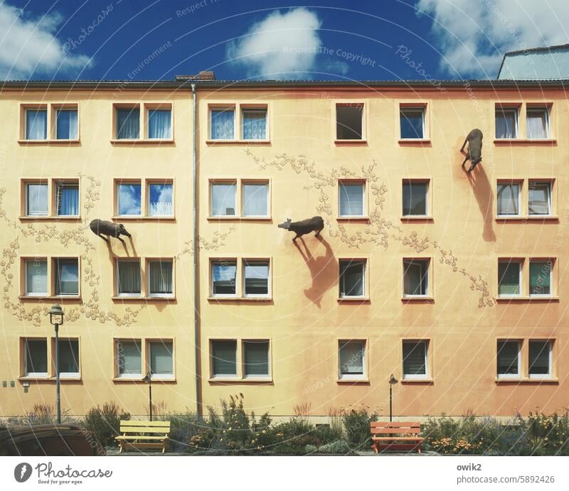 beaten path House (Residential Structure) block of flats Apartment Building Apartment house Floors Multistory Wall (building) house wall Facade Window