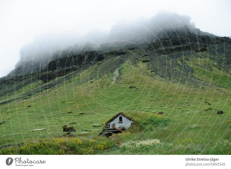 Iceland | Stable with grass roof on a misty mountainside stables Grass roof Slope Fog covered in mist Meadow Willow tree Green Gray Black Landscape Nature Calm