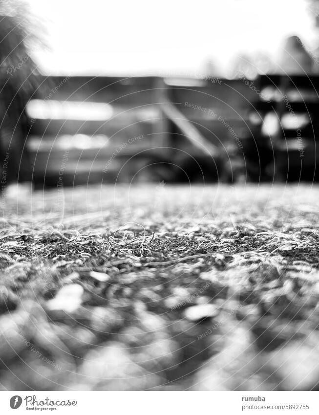 Ground, fence, gray, dreary, blurred Worm's-eye view Shallow depth of field Exterior shot Nature Life Gray naturally Old Bushes Rebellious Seam Detail Close-up