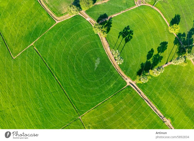 Aerial view of lush green rice field with small winding canal. Sustainable agriculture landscape. Sustainable rice farming. Rice cultivation. Green landscape. Organic farming. Sustainable land use.
