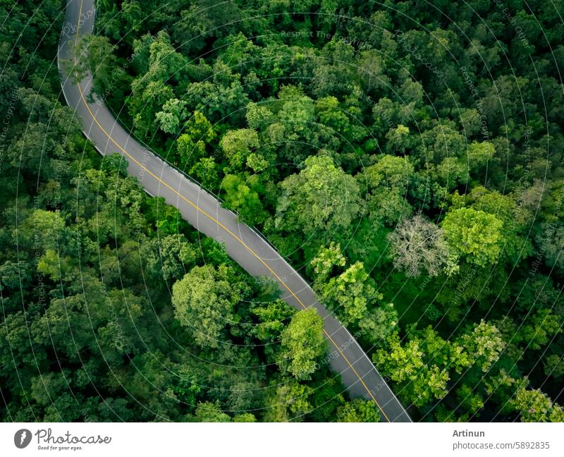 Aerial view of dense green trees in forest capture CO2 and curve highway road. Green trees background for carbon neutrality and net zero emissions concept. Sustainable green environment. Carbon credit