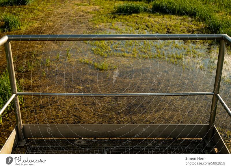 Moorland landscape from a vantage point with metal railings Bog moorland Vantage point Water moisture Ground Marsh Environment Landscape pond Overgrown Damp