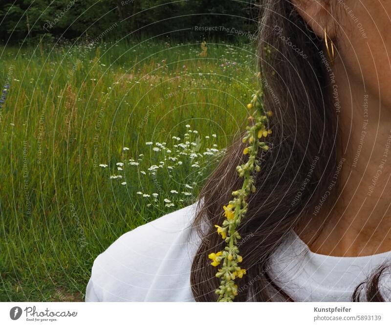 Flower child feeling: enjoy the summer meadow with flowers in your hair Summer Meadow blossoms Blossoming Green Yellow long hair Freedom Easy naturally