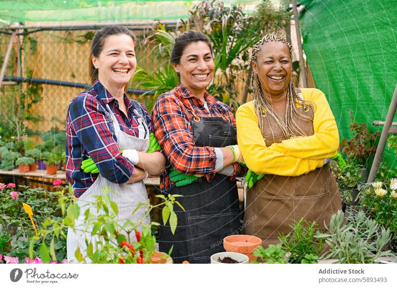 Positive multiracial farmers standing near table in garden women gardener cultivate grow potted sprout agriculture plant horticulture female seedling growth