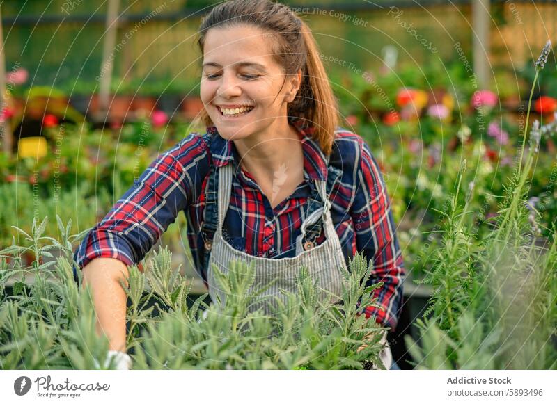 Positive woman working in garden smile gardener toothy smile happy optimist positive plant female cheerful glad cultivate professional job joy growth botany