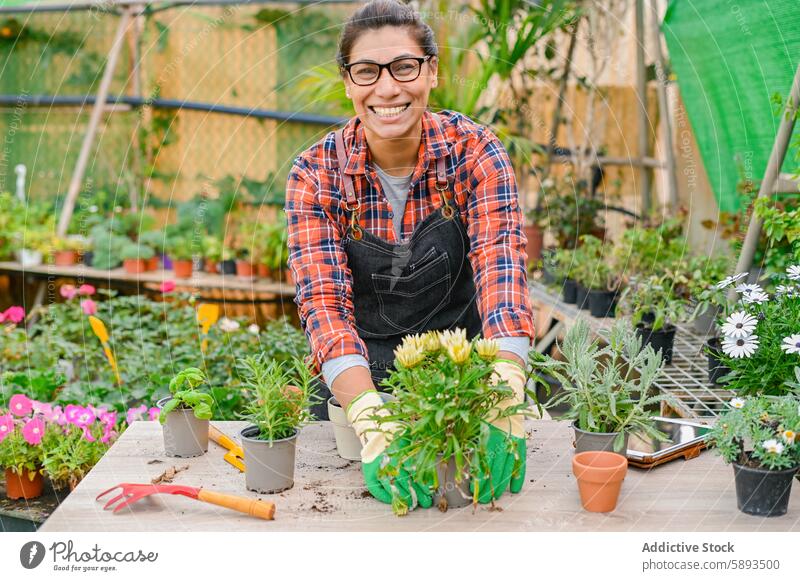 Cheerful gardener working with plants woman smile happy greenhouse flower pot horticulture cultivate hothouse occupation flora positive bloom vegetate botany